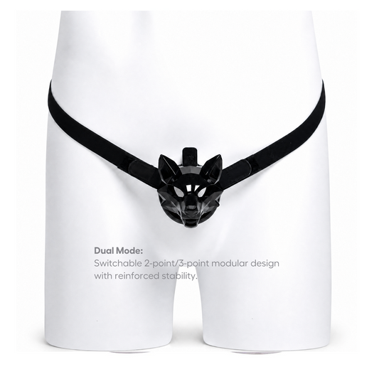 Anchor Harness